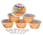 Pudding sữa chua vị Dưa lưới 720g